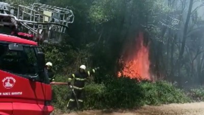 cati yangini - TOKAT - Çatıda çıkan yangına müdahale eden itfaiye eri dumandan etkilendi Videosu