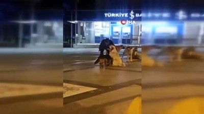sokak kopekleri -  Yaşlı adamın sokak köpeklerine şefkati yürekleri ısıttı Videosu