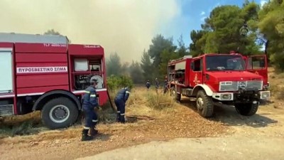 yukselen - Yunanistan'da çıkan orman yangınını söndürme çalışmaları devam ediyor (1) Videosu