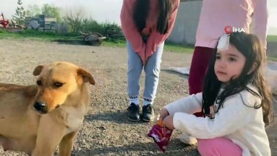 gunesli hava -  Ağrı'da gülümseten görüntüler...Çocuklar köpeğe cips yedirdi Videosu