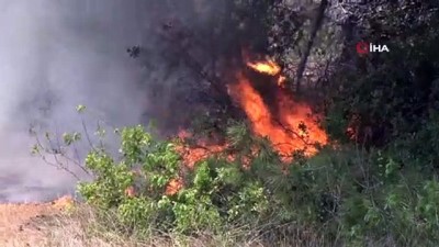  Antalya'da orman yangını