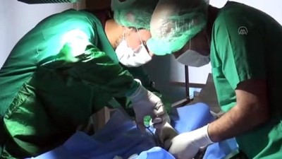 BİTLİS - Kuyuya düşerek ayağı kırılan kediye cerrahi müdahale