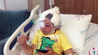Kastamonu'da köpeğin saldırdığı çocuk yaralandı