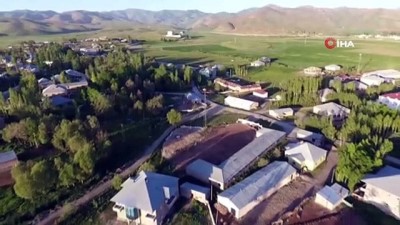 ziyaretciler -  Elektrik direklerini yuva yapan leyleklerden renkli görüntüler Videosu