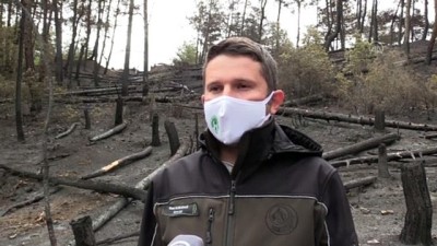 ormanli - KASTMAONU - Orman yangınının ardından yanmış karaca yavrusu bulundu Videosu