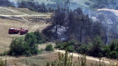ormanli - ADANA - Sarıçam'daki orman yangını kontrol altına alındı Videosu