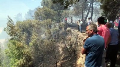 ADANA - Sarıçam'daki orman yangınına müdahale ediliyor