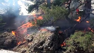 orman arazisi -  Alanya’da orman yangını kontrol altına alındı Videosu