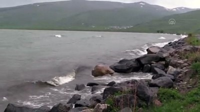cezbe - ARDAHAN - Etkili olan şiddetli rüzgar Çıldır Gölü'nde dalgalar oluşturdu Videosu