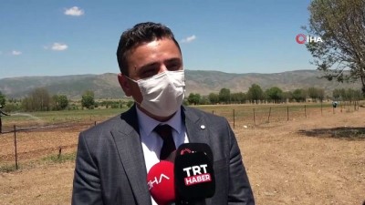 cekirge istilasi -  Bitlis’te çekirge istilası korkusu Videosu