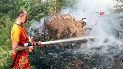 piknik alanlari -  Bolu’da, geçtiğimiz yıl 60 yangında 200 hektar kül oldu Videosu
