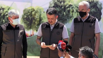 HATAY - Pakdemirli: 'Anayasayla ormanlarımız koruma altındadır'