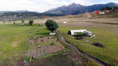  Muş’ta çadırlar kuruldu yaylalar şenlendi