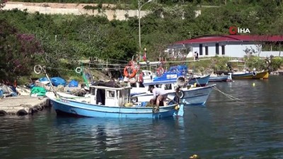 yasaklar -  Ordulu balıkçılar sezon sonrası ağ mesaisinde Videosu