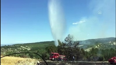 aniz yangini - OSMANİYE - Tarladan ormanlık alana sıçrayan yangın kontrol altına alındı Videosu
