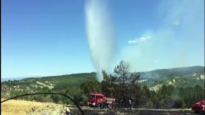 OSMANİYE - Tarladan ormanlık alana sıçrayan yangın kontrol altına alındı