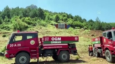 orman yangini - DENİZLİ - Orman yangınında 5 dönüm alan zarar gördü Videosu