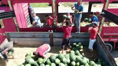 market -  'Ham karpuz timleri' tarlalarda görev başında Videosu