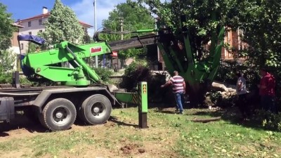 hastane bahcesi - KASTAMONU - İnşaat bölgesinde kalan 8 ağaç sökülerek hastane bahçesinde dikildi Videosu