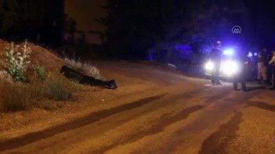 cenaze - MALATYA - Bir kişi yol kenarında ölü bulundu Videosu