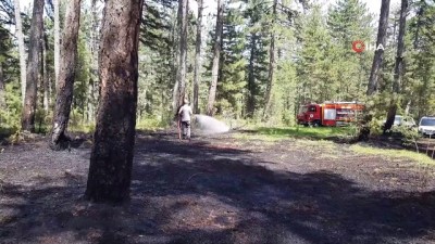 sigara izmariti -  Atılan sigara izmariti ormanı alev topuna çevirmeden söndürüldü Videosu