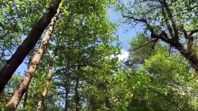 pinarli - BALIKESİR - Kazdağları tarihi ve doğasıyla her mevsim ayrı güzelliğe bürünüyor Videosu
