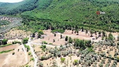  Bodrum’da 200 dönüm arazi tarıma kazandırıldı