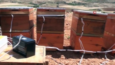bal uretimi -  Gramı 500 TL olan arı zehri Adıyaman'da üretilmeye başlandı Videosu
