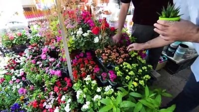 uzun omur - KONYA - Çiçekçilerde bahar dönemi yoğunluğu yaşanıyor Videosu