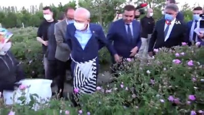 asad -  CHP Genel Başkanı Kılıçdaroğlu Isparta’da işçilerle gül topladı Videosu