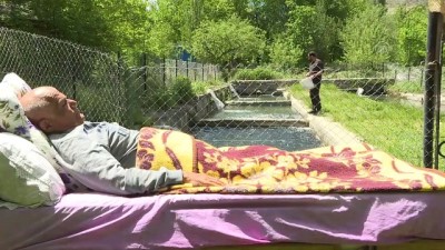 piknik alani - ERZURUM - Kaza geçirerek yatalak hale gelen eski güreşçi, ailesinin işlettiği alabalık çiftliğiyle yaşama tutunuyor Videosu
