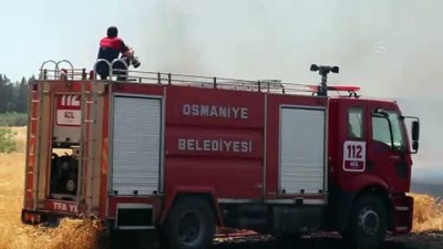 aniz yangini - OSMANİYE - Korkut Ata Üniversitesi yerleşkesi yanında çıkan anız yangını söndürüldü Videosu