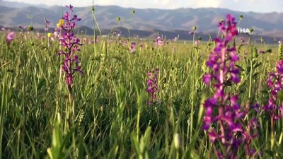 yaz mevsimi -  Yüksekova’da yaz-kış bir arada Videosu