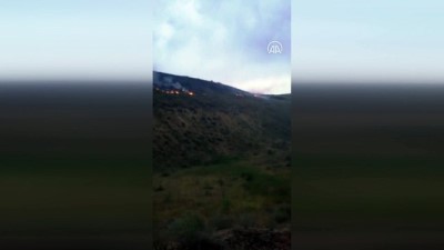 yildirim dusmesi - ELAZIĞ - Yıldırım düşmesi sonucu mera alanında yangın çıktı Videosu
