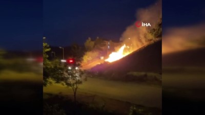 aniz yangini -  Sakarya'da korkutan anız yangını: Yerleşim yerlerine ulaşmadan söndürüldü Videosu