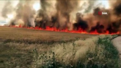  Alevlerin metrelerce yükseldiği yangında bin yüz dönüm alan küle