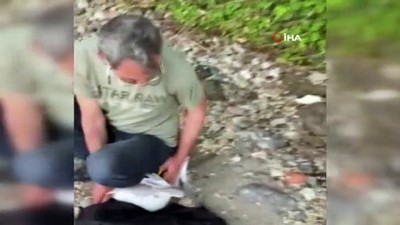 sizce -  Ayaklarına balık kancası takılan iki martıyı kurtardı, ödülü martının ısırığı oldu Videosu
