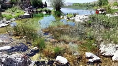 tarim arazisi -  Büyük Menderes Nehri’nde kuraklık tehlikesi baş gösterdi Videosu