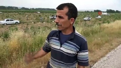 cennet -  Çiftçinin hasat etmediği soğan tarlasına vatandaşlar akın etti Videosu