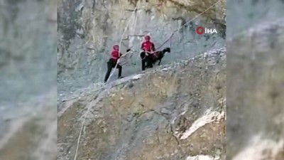 kayali -  Kahramanmaraş'ta kayalıkta mahsur kalan hayvanları JAK timleri kurtardı Videosu