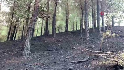  Kozan’daki orman yangınında soğutma çalışması tamamlandı
