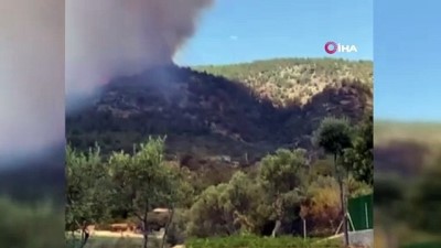 amator kamera -  Milas'taki korkutan yangın böyle başladı Videosu