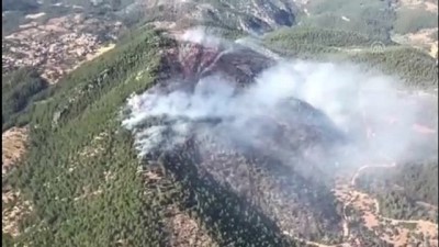 MUĞLA - Milas'ta ormanlık alandaki yangın kontrol altına alındı