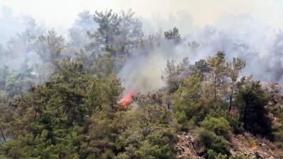 MUĞLA - Milas'ta ormanlık alandaki yangına müdahale ediliyor (2)