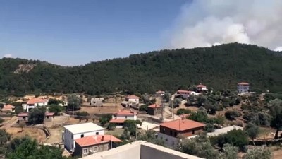 MUĞLA - Milas'ta ormanlık alandaki yangına müdahale ediliyor (3)