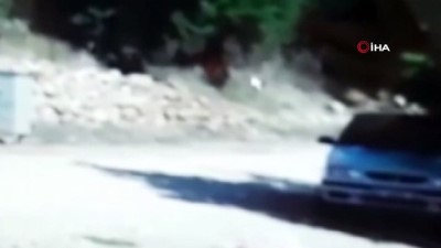 kucuk kiz -  Antalya'da feci ölüm... Ailesine yardıma geldi, traktörün altında böyle kaldı Videosu
