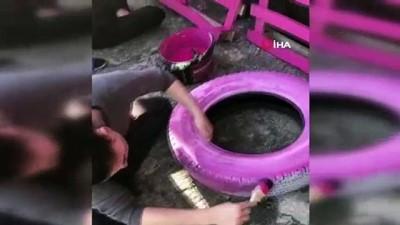 universite ogrencisi -  Harabe olan kulübeyi sokak hayvanları için eve dönüştürdüler Videosu