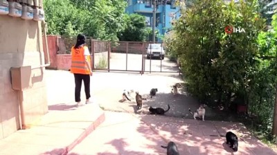  Hayvansever kadın, sokakta bulduğu engelli hayvanlara annelik yapıyor