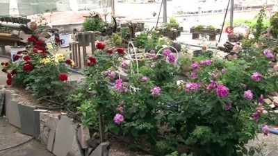 imalathane -  Görenleri şaşırtan bağ...Dükkanının üstünü bağa çevirdi, 100 çeşit bitki yetiştiriyor Videosu