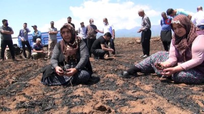 sigara -  Yangında zarara uğrayan çiftçiler destek istedi Videosu